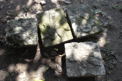 Chichen Viejo - Yucatan