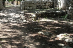 Chichen Viejo - Yucatan