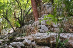 Chichen Viejo - Yucatan