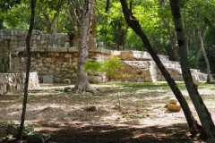 Chichen Viejo - Yucatan