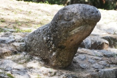 Chichen Viejo - Yucatan