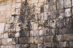 Chichen Viejo - Yucatan