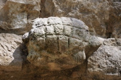 Chichen Viejo - Yucatan