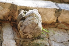 Chichen Viejo - Yucatan