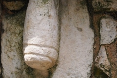 Chichen Viejo - Yucatan