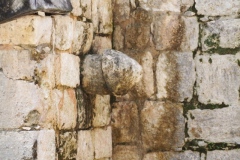 Chichen Viejo - Yucatan