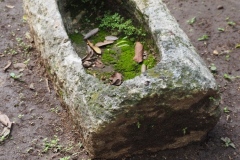 Chichen Viejo - Yucatan