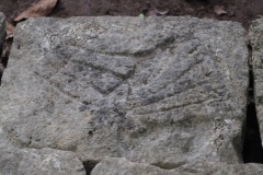 Chichen Viejo - Yucatan