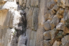 Chichen Viejo - Yucatan