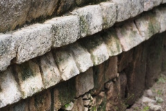 Chichen Viejo - Yucatan