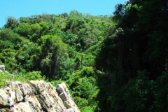 Chinkultic - Chiapas