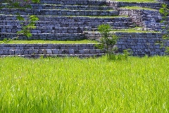 Chinkultic - Chiapas