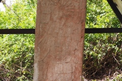 Chinkultic - Chiapas