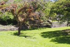 Chinkultic - Chiapas