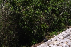 Chinkultic - Chiapas
