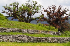 Chinkultic - Chiapas