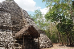 Coba - Quintana Roo
