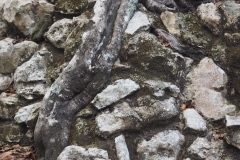 Coba - Quintana Roo