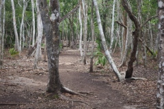 Coba - Quintana Roo