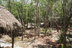 Coba - Quintana Roo