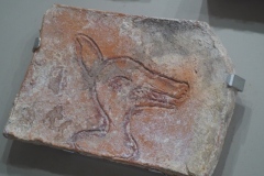 Comalcalco site museum