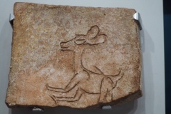 Comalcalco site museum