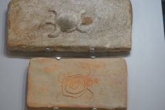 Comalcalco site museum