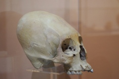 Comitan Archaeological Museum