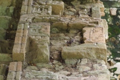 Copan - Honduras