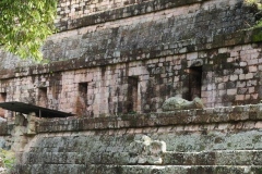 Copan - Honduras