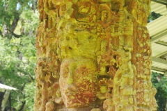 Copan - Honduras