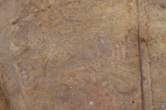 Copan Sculptural Museum