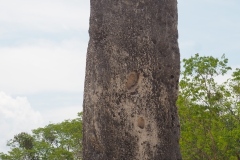 Dzibilchaltun - Yucatan