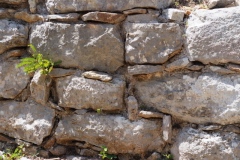 Dzibilchaltun - Yucatan