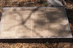 Dzibilchaltun - Yucatan
