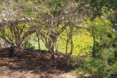 Dzibilchaltun - Yucatan