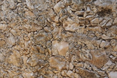 Dzibilchaltun - Yucatan