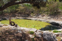 Dzibilchaltun - Yucatan