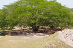 Dzibilnocac - Campeche