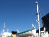 Edmund Gardner, Dazzle Ship 10