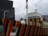 Edmund Gardner, Dazzle Ship 03