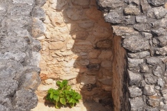 Ek' Balam - Yucatan