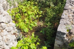 Ek' Balam - Yucatan