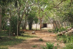 Ek' Balam - Yucatan