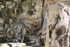 El Meco - Quintana Roo