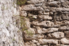 El Meco - Quintana Roo