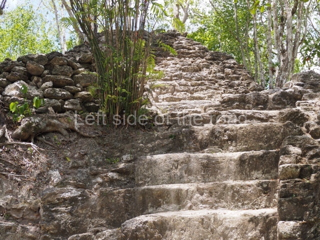 El Mirador - Peten - Guatemala