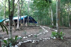 El Mirador - Peten - Guatemala