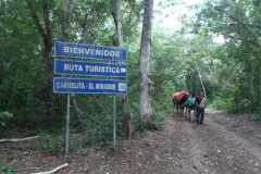 El Mirador - Peten - Guatemala