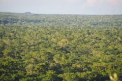 El Mirador - Peten - Guatemala